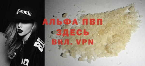 шишки Абаза