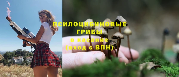 первитин Абинск