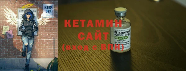 шишки Абаза