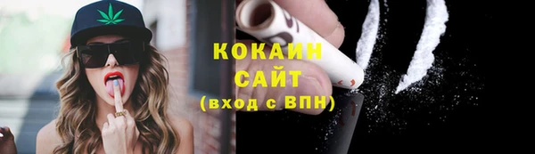 шишки Абаза