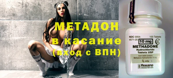 шишки Абаза