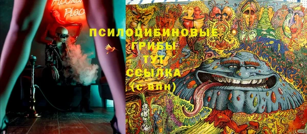 шишки Абаза