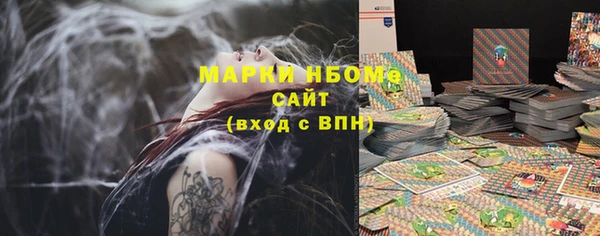 шишки Абаза