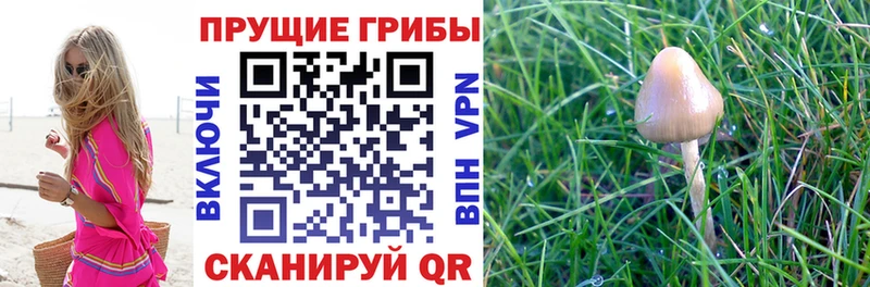 Псилоцибиновые грибы мухоморы  Карпинск 